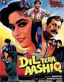 Dil Tera Aashiq Full Movie (1993) Watch Online HD Download