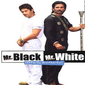 Mr Black Mr White (2008) Full Movie Watch Online HD Free Download