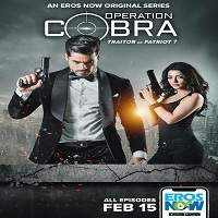 Operation Cobra 2019 Hindi Full Series