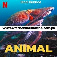 Animal (2021) Hindi Dubbed Season 1 Complete Watch Online