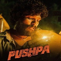 Pushpa The Rise (2021) Hindi Dubbed Full Movie Watch Online
