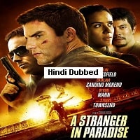 A Stranger In Paradise (2013) Hindi Dubbed Full Movie Watch Online